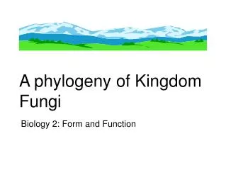 A phylogeny of Kingdom Fungi