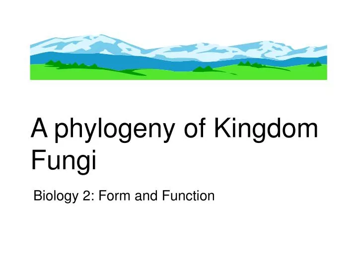 a phylogeny of kingdom fungi