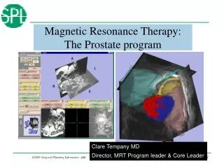 Magnetic Resonance Therapy: The Prostate program