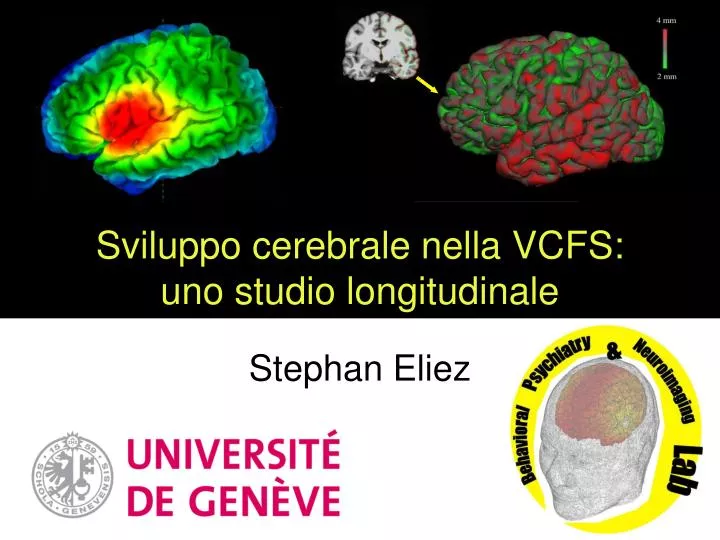 sviluppo cerebrale nella vcfs uno studio longitudinale