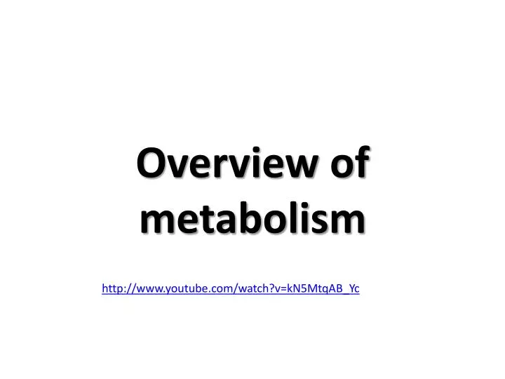 overview of metabolism