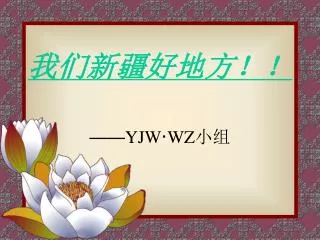 yjw wz