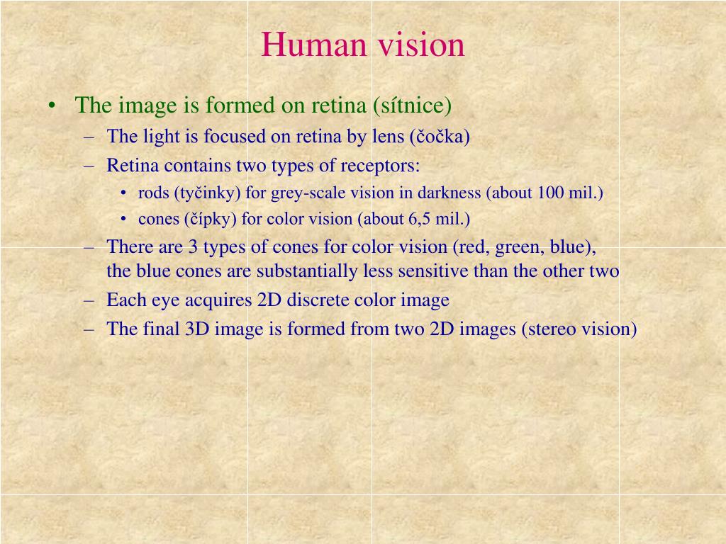PPT - Human vision PowerPoint Presentation, free download - ID:6537786