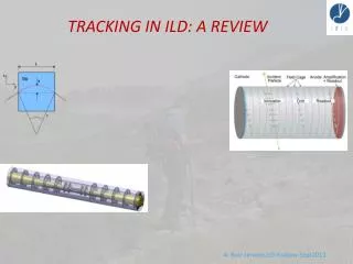 TRACKING IN ILD: A REVIEW