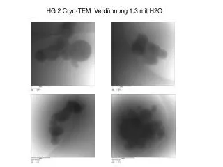 hg 2 cryo tem verd nnung 1 3 mit h2o