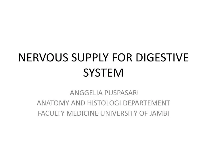 nervous supply for digestive system