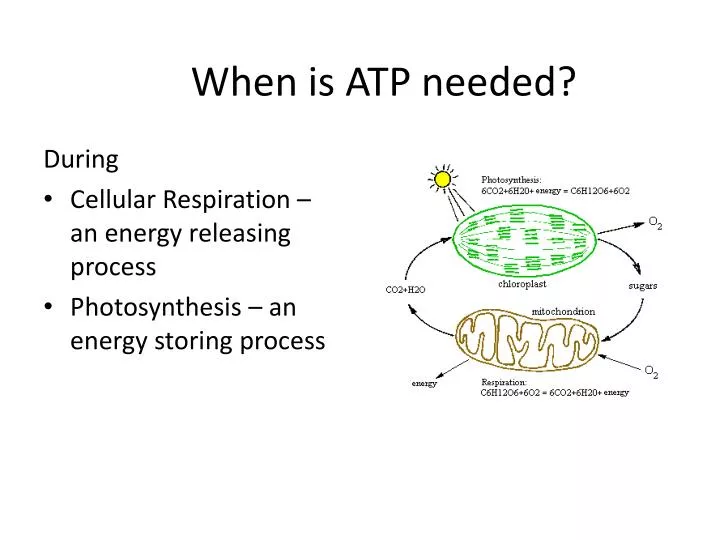 when is atp needed