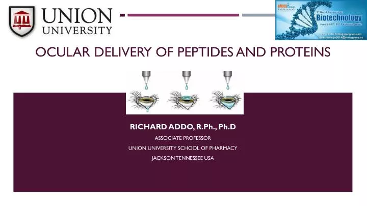 ocular delivery of peptides and proteins