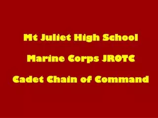 Mt Juliet High School Marine Corps JROTC Cadet Chain of Command