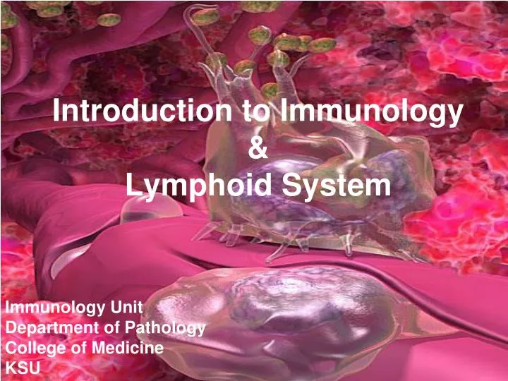 introduction to immunology lymphoid system