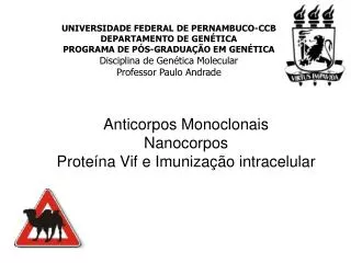 Anticorpos Monoclonais Nanocorpos Proteína Vif e Imunização intracelular