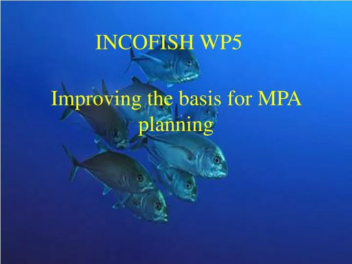 improving the basis for mpa planning