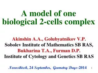 A model of one biological 2-cells complex