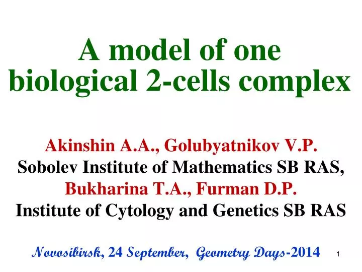 a model of one biological 2 cells complex