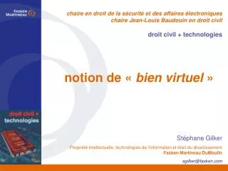 notion de bien virtuel