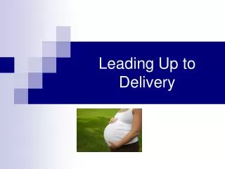 Leading Up to Delivery