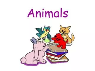 Animals