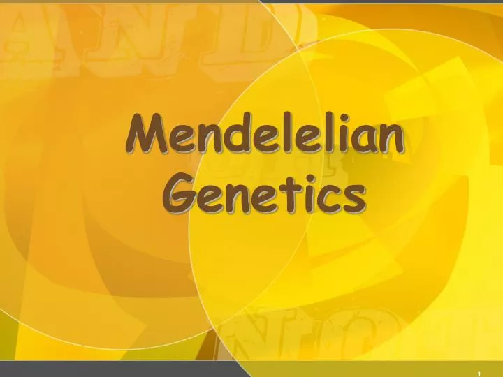 mendelelian genetics