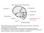 Frontal Lobe - slide 1