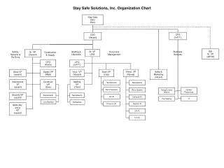 Stay Safe Solutions, Inc. Organization Chart