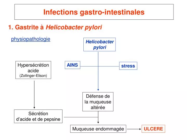 infections gastro intestinales