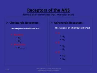 Receptors of the ANS Named after nerve types that innervates them