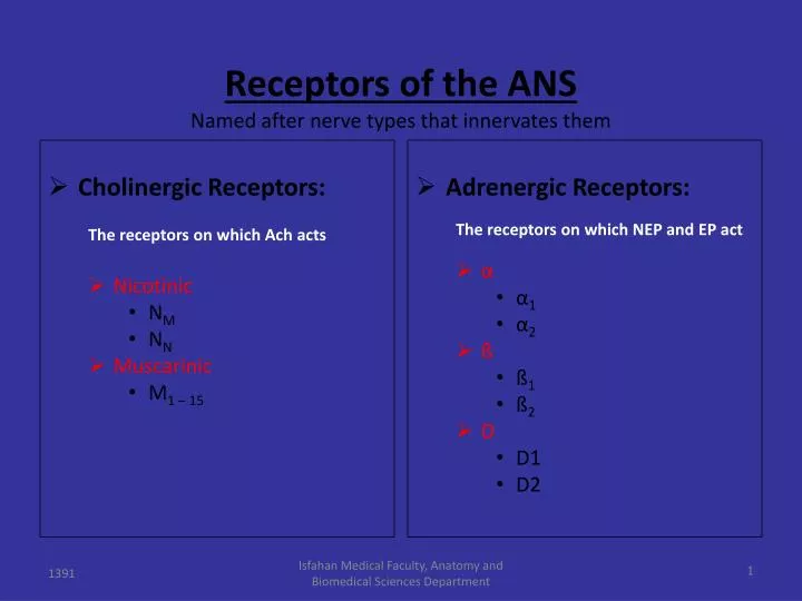receptors of the ans named after nerve types that innervates them