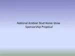 National Arabian Stud Horse show Sponsorship Proposal