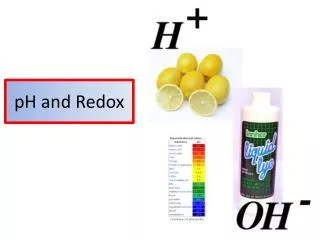 pH and Redox