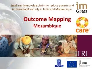 Small ruminant value chains to reduce poverty and increase food security in India and Mozambique