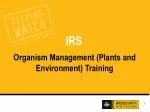 IRS - slide 1