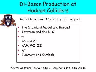 Di-Boson Production at Hadron Colliders