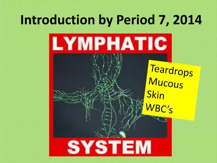 introduction by period 7 2014