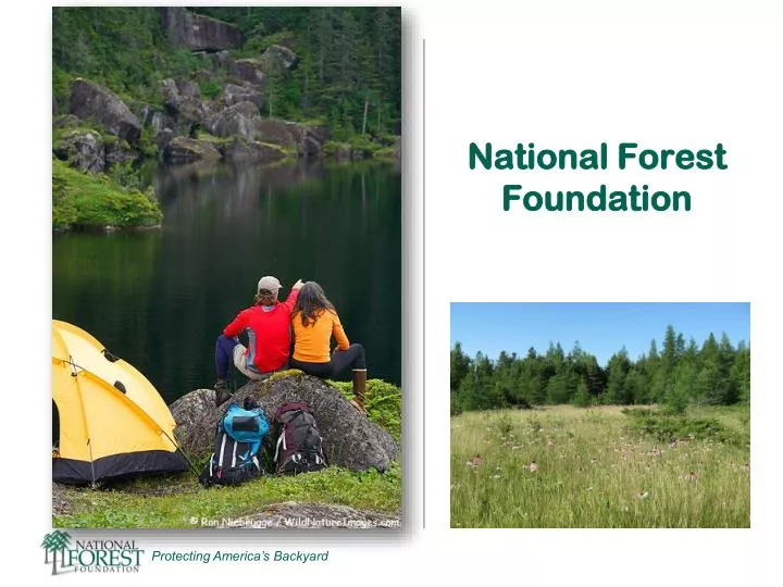 national forest foundation