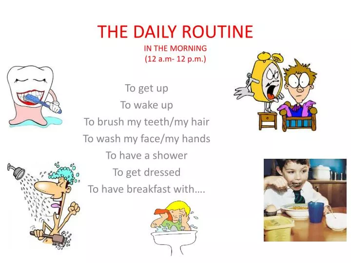 the daily routine in the morning 12 a m 12 p m