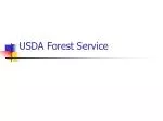 USDA Forest Service - slide 1