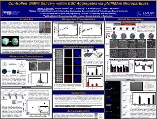 Controlled BMP4 Delivery within ESC Aggregates via pNIPMAm Microparticles