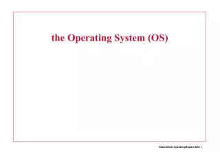 the Operating System (OS)