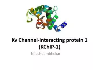 Kv Channel-interacting protein 1 (KChIP-1)