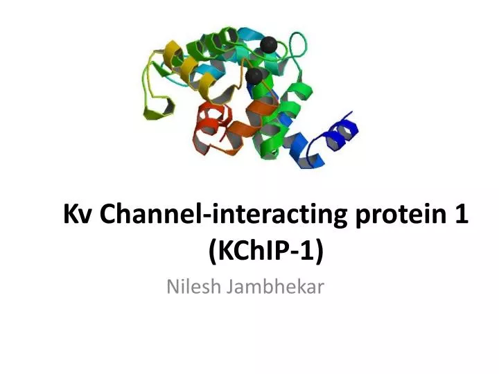 kv channel interacting protein 1 kchip 1