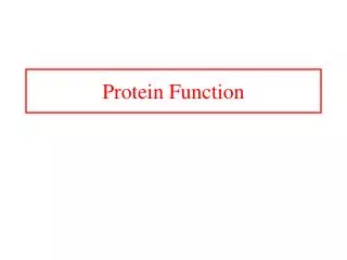 Protein Function