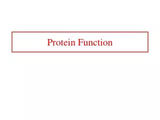 PPT - Chapter 5 Protein Function PowerPoint Presentation, Free Download ...