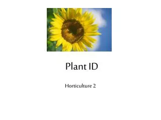 Plant ID