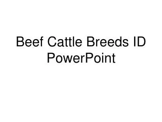 Beef Cattle Breeds ID PowerPoint