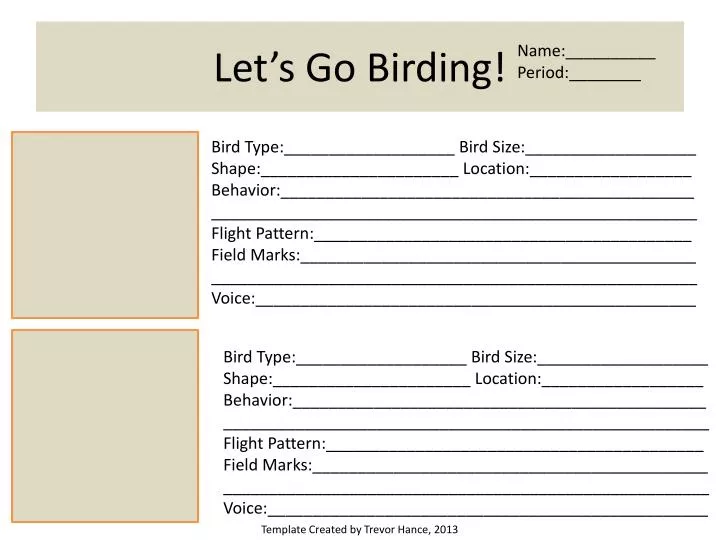 let s go birding