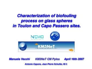 Characterization of biofouling process on glass spheres in Toulon and Capo Passero sites.