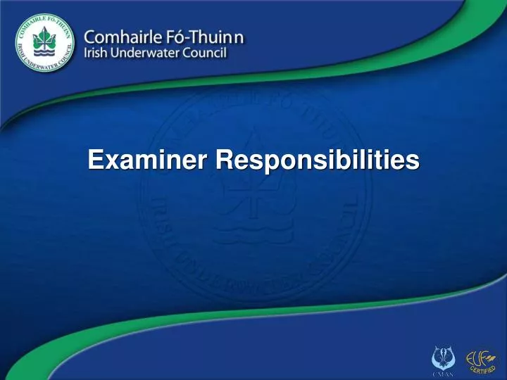 examiner responsibilities
