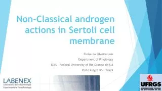 Non-Classical androgen actions in Sertoli cell membrane