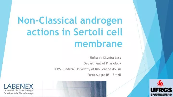 non classical androgen actions in sertoli cell membrane