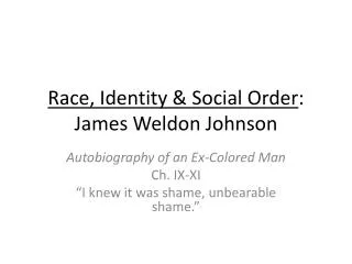 Race, Identity &amp; Social Order : James Weldon Johnson